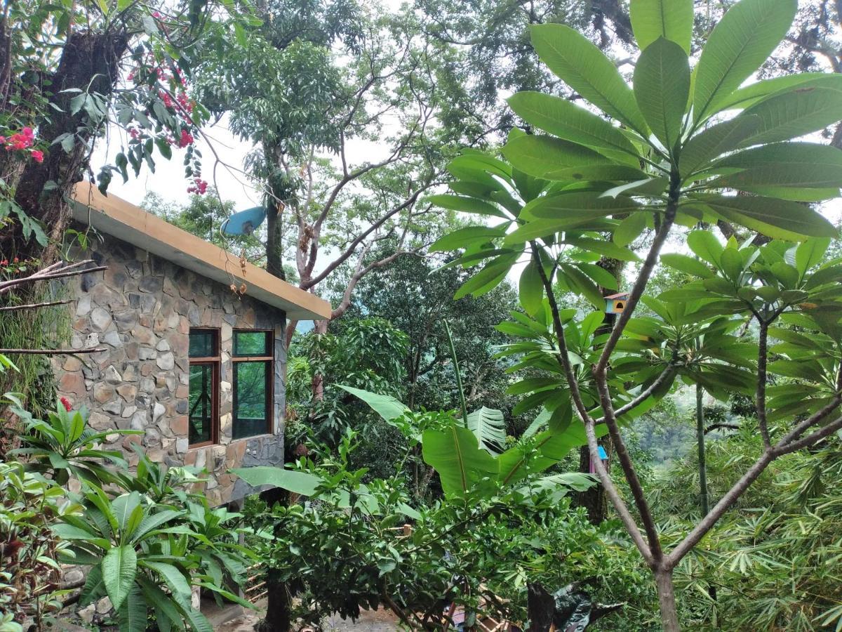 Casa Musgo Hotel Xilitla Exterior photo